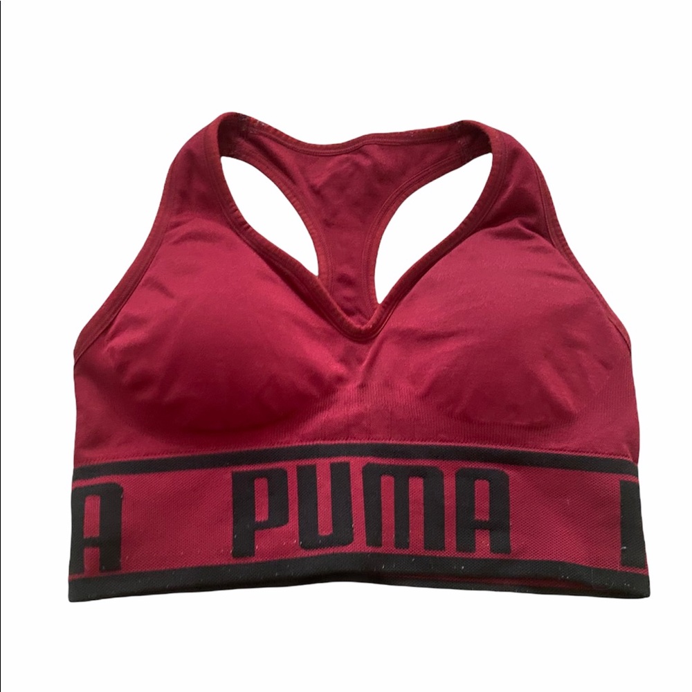 Puma
